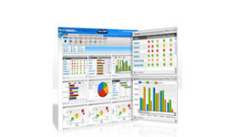 Manelsoft financial software development